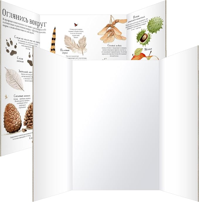 Trifold Poster Board 36"x48", 2 Pack White Large Corrugated Display Board | Large Foldable Poster Board for School Projects, Science Fair, Business Presentations, Photo Displays, Graduation Exhibitions