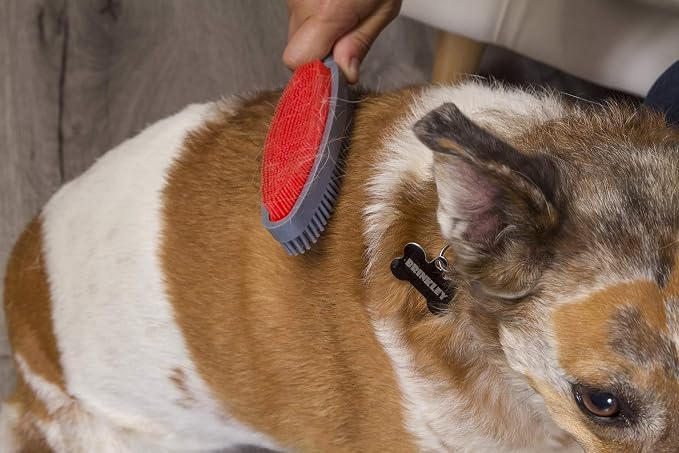 FURemover Duo Pet Hair Rubber Brush, Dual Sided to Easily Remove Fur and Lint from Clothing and Upholstery, Thick Bristles Groom Dogs and Cats, Easy to Clean, Colors May Vary