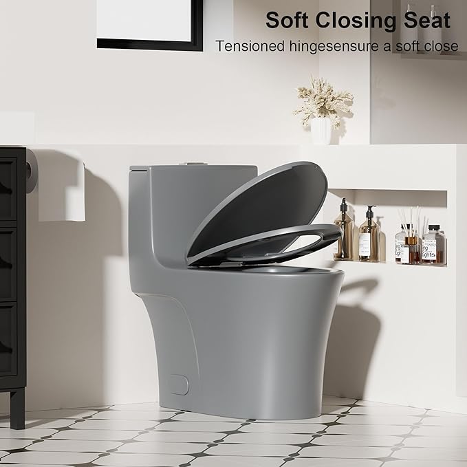Dual Flush One Piece Toilets for Bathrooms, Compact Gray Toilet Elongated with Soft Closing Seat, Modern 12 Inch Rough in Toilet, 1.6 GPF & Map 1000g, Comfort Height, Silent Design (GREY)