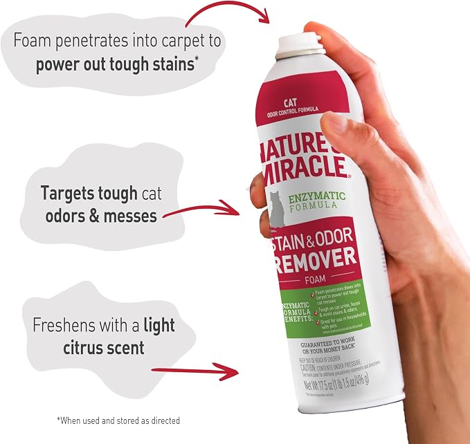 Nature’s Miracle Cat Stain & Odor Remover Foam, Enzymatic Cleaner, 17.5 oz | Tough on Cat Urine, Feces, Vomit, Drool and Other Organic Stains and Odors, Foam Penetrates Into the Carpet, Fresh Scent