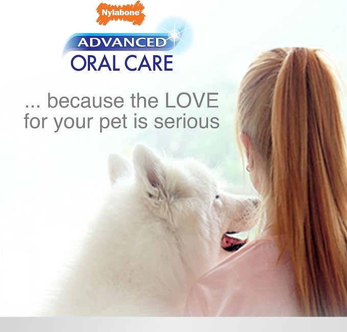 Nylabone Advanced Oral Care Pet Dental Water Additive, Liquid Tartar Remover & Breath Freshener for Dogs, Dog Teeth-Cleaning, Original Flavor, 32 oz. (Pack of 2)