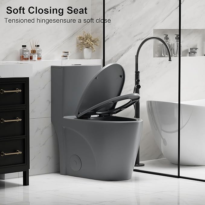 Dual Flush One Piece Toilets for Bathrooms, Compact Black Toilet Elongated with Soft Closing Seat, Modern 12 Inch Rough in Toilet, 1.6 GPF & Map 1000g, Comfort Height, Silent Design (Light Gray)