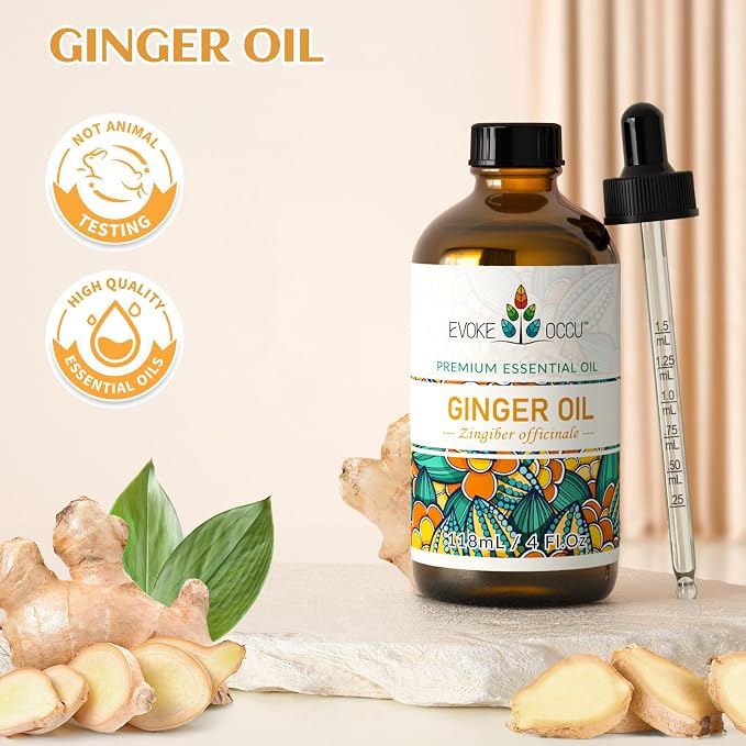 EVOKE OCCU Ginger Oil for Diffuser, Massage, Skin & Hair | Aromatherapy Oil, Warming Relief for Sore Muscles & Joints, Ideal for Scalp Nourishment & DIY - 118mL / 4 fl oz