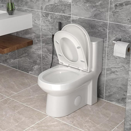 One Piece Toilet 12'' Rough Inch- White Ceramic Compact Toilets with 15.9" Soft Close Chair Seat 1.1/1.6 GPF Water Saving Dual Flush Easy to Clean Toilet Bowl 13.6''x28.3''x24.8''