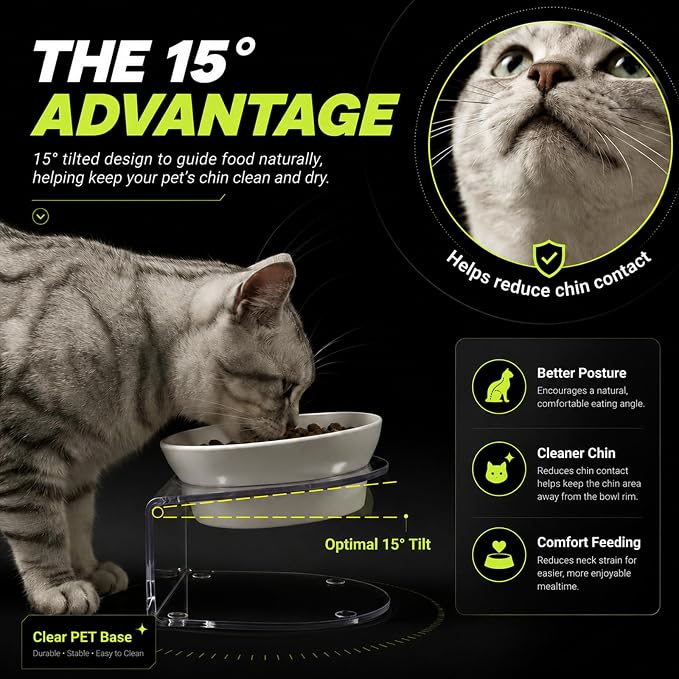 LivLab Mker Raised Cat Bowl, Elevated Cat Food Bowls with Stand - 15° Tilted Shallow Cat Dish for Whisker Fatigue Relief, 4.5" Height for Easy Feeding, Lead & Cadmium Free Melamine Bowl, White
