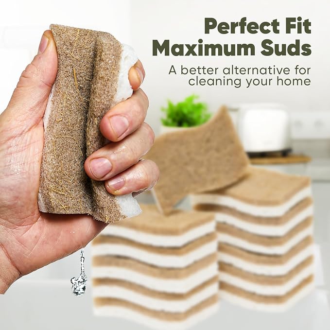 Plant-Based Kitchen Sponges (24 Pack) | USDA Biobased Certified | FSC & PETA Approved | Natural Cellulose & Coconut Scrubber Sponge | S-Shaped Design | Eco-Friendly, Non-Scratch, Non-Toxic & Vegan