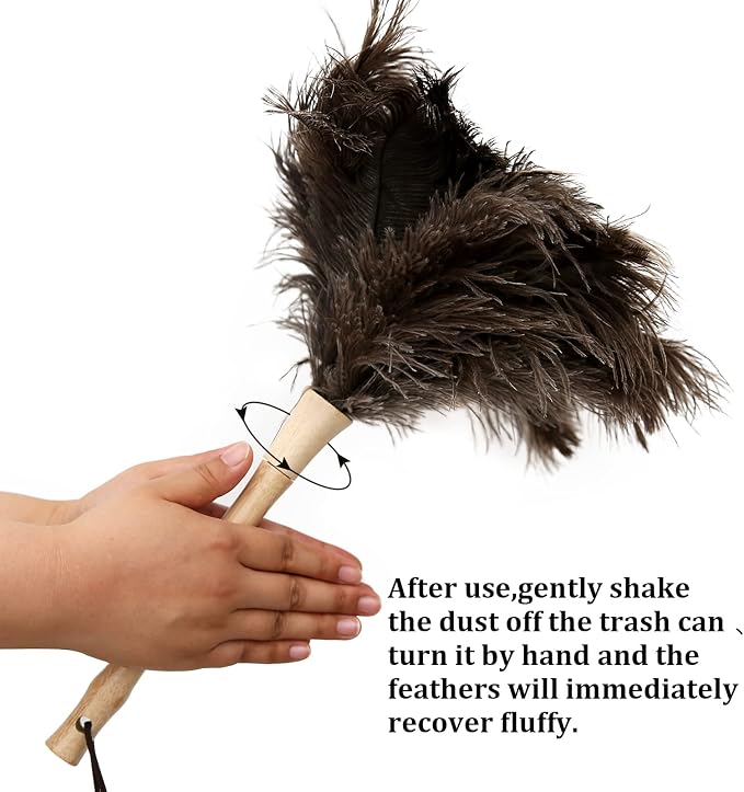 Ostrich Feather Duster 16 inch Fluffy Natural Genuine Ostrich Feathers with Wooden Handle and Eco-Friendly Reusable Handheld Ostrich Feather Duster for Cleaning Supplies(5PCS)
