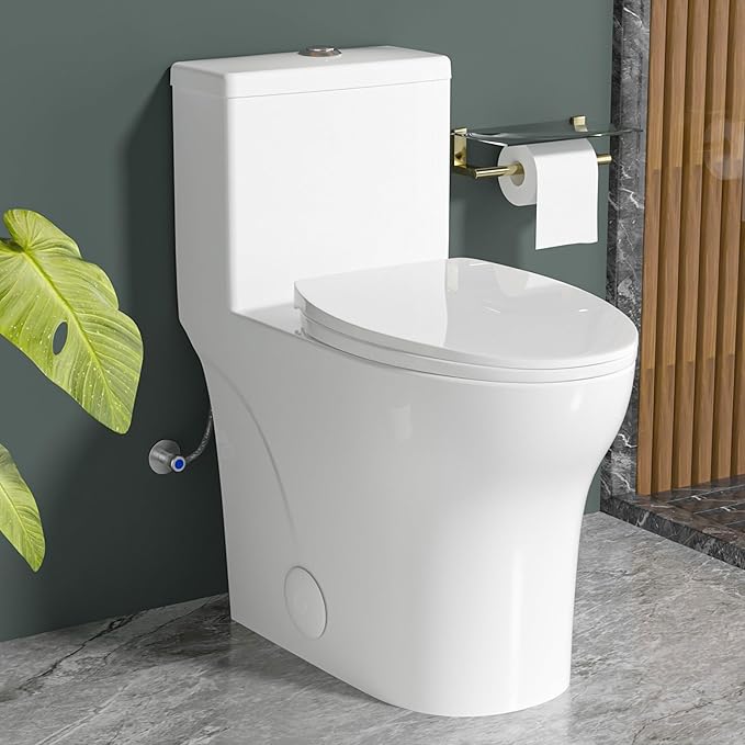 Elongated Modern Tall Toilet 19 Inch for Seniors, Powerful Tornado Flush Skirted High Toilet for Bathroom,One Piece Water Saving Dual Flush 1.0/1.28 GPF,Comfort ADA Bowl Heigh 18.3 Inch, White