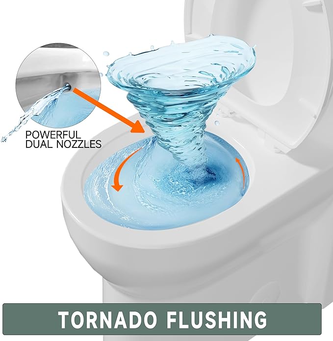 Compact Modern Tall Toilet 19 Inch for Seniors, Powerful Tornado Flush Skirted High Toilet for Small Bathroom, One Piece Toliet Dual Flush 1.0/1.28 GPF, Comfort ADA Bowl Heigh 18.3 Inch, White