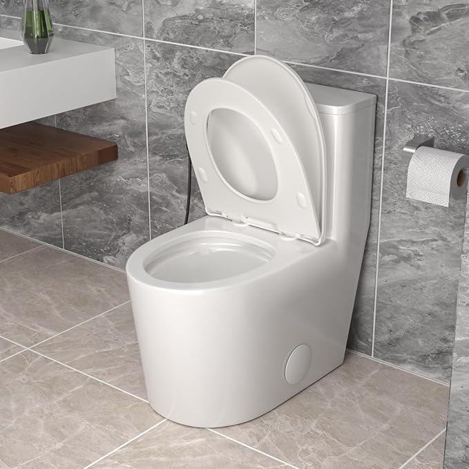 12'' Rough-in One Piece Toilet - High Efficiency Water Saving Ceramic Compact Toilets with 15.7" Soft Close Chair Seat 1.1/1.6 GPF Dual Flush Easy to Clean 15.3''x26.7''x29.4''