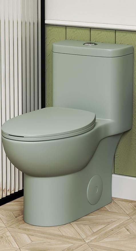 Dual Flush One Piece Toilets for Bathrooms, Compact Toilet Elongated with Soft Closing Seat, Modern 12 Inch Rough in Toilet, 1.61 GPF & Map 1000g, Comfort Height, Silent Design (Sage Green)