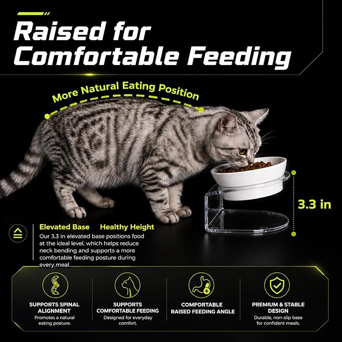 LivLab Mker Elevated Cat Food Bowl, Tilted Water Bowl,Anti Vomiting and Protect Pets' Spines Raised Melamine Pet Dishes for Small Dogs, Flat-Faced Cats & Kittens, White, 2 Pack