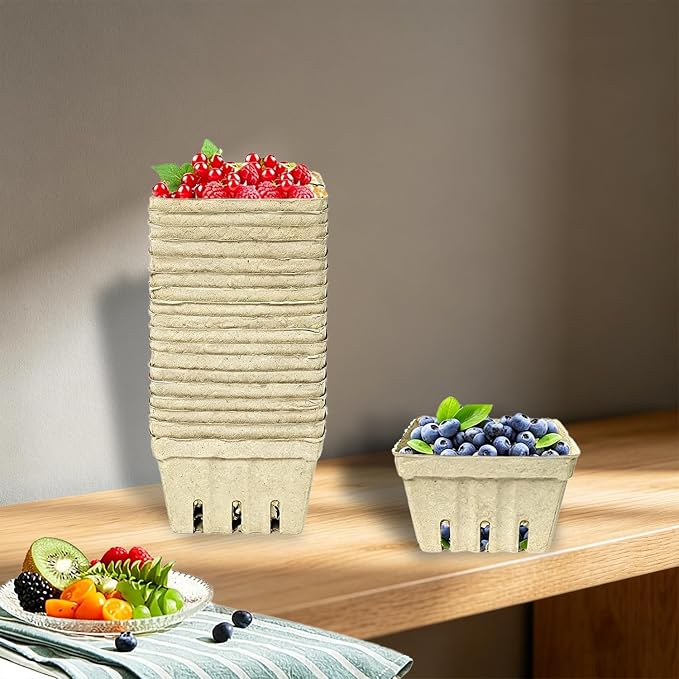 60 Pack Natural Pulp Fiber Berry Baskets, Small Molded Vented Fruit Containers for Strawberry Blueberry Raspberry, Eco-Friendly Produce Trays for Farmers Market, Kitchen Storage & Grocery