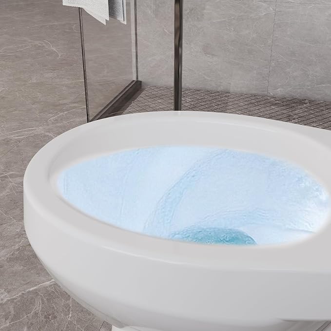 Round Front Two-Piece Toilet, 19" ADA Comfort Height, 1000g MAP Certified Flush System, 12" Rough-In