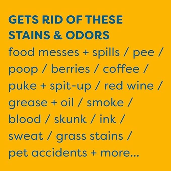 KIDS 'N' PETS Stain & Odor Remover for Carpet, Fabric & Furniture, 32 oz | Dog Pee & Cat Urine