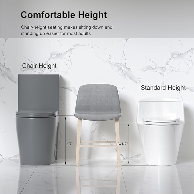 Dual Flush One Piece Toilets for Bathrooms, Compact Black Toilet Elongated with Soft Closing Seat, Modern 12 Inch Rough in Toilet, 1.6 GPF & Map 1000g, Comfort Height, Silent Design (Light Gray)