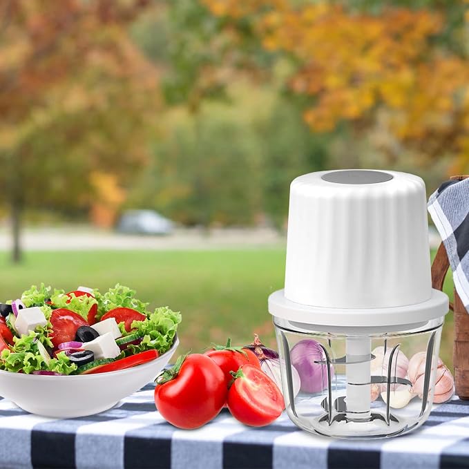 Mini Electric Garlic Chopper 300ML GLASS Food Processor Cordless | Type-C Rechargeable Mincer Chopper for Vegetables Puree, 6 Blades, BPA Free, with Scraper Splash Guard Charging Cord