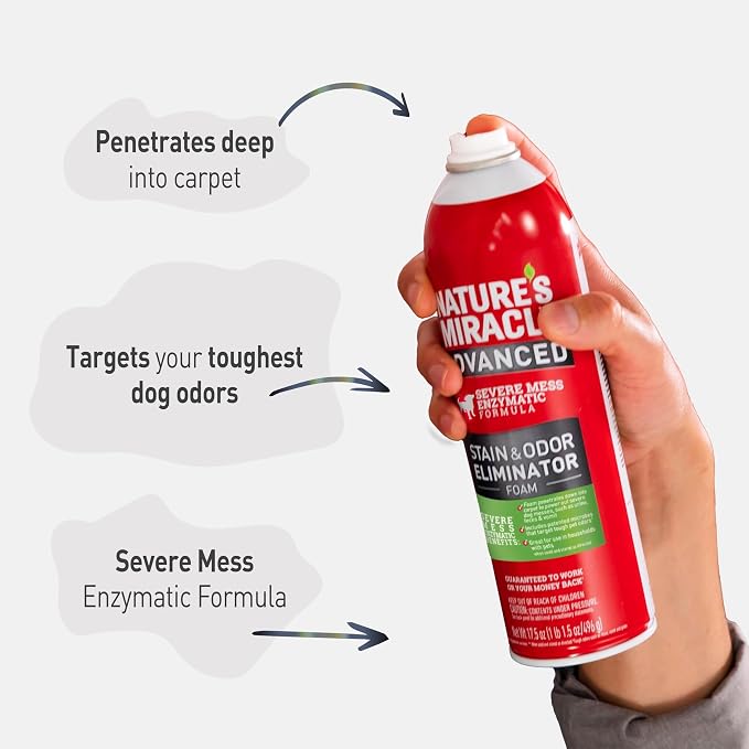 Nature's Miracle Advanced Dog Stain & Odor Eliminator Foam, 17.5 oz (6 Pk) | Enzymatic Cleaner Eliminates the Toughest Dog Messes, Foam Penetrates Into the Carpet, Safe For Pets and Home*, Fresh Scent