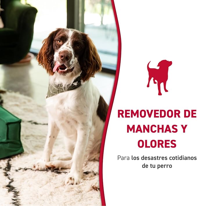 Nature’s Miracle Dog Stain & Odor Remover, Enzymatic Cleaner, 1 gal | Tough on Dog Urine, Feces, Vomit, Drool and Other Organic Stains and Odors, For Multiple Surfaces, Fresh Scent