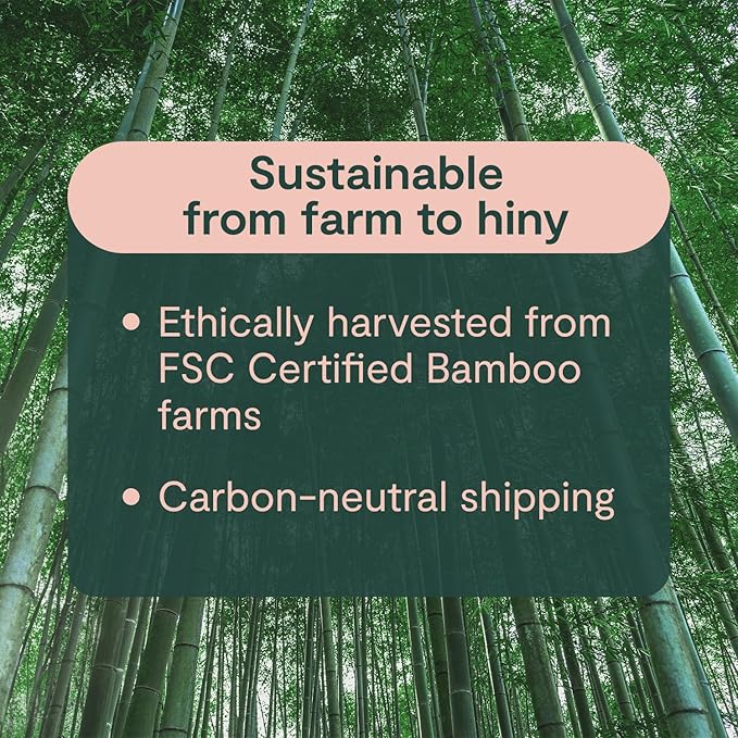 ecoHiny Premium & Soft Bamboo Toilet Paper | PFAS Free | 24 Mega Rolls, 3 ply & 350 Sheets | Non Toxic, FSC Certified, Septic Safe, BPA Free | Tree Free Toilet Tissue | Plastic Free Packaging