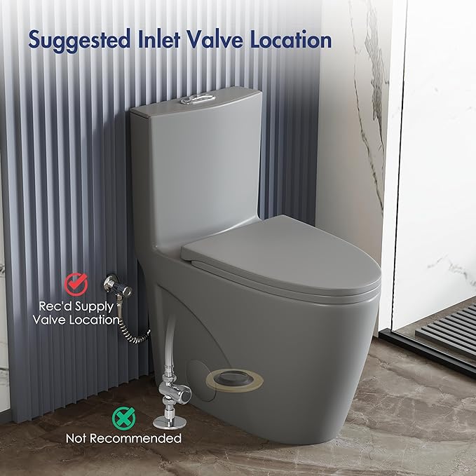 Eridanus Elongated One Piece Toilet with Powerful Siphon Dual Flush 1.1/1.6 GPF, 12" Rough-In Modern Bathroom Toilets with Comfort Soft Closing Seat Height 17", ADA Compliant Bowl, Light Gray