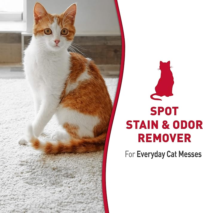 Nature's Miracle Cat Stain and Odor Remover With New Odor Control Formula 32 Ounce Spray | Tough on Cat Urine, Feces, Vomit, Drool and Other Organic Stains and Odors, For Multiple Surfaces, Fresh Scent