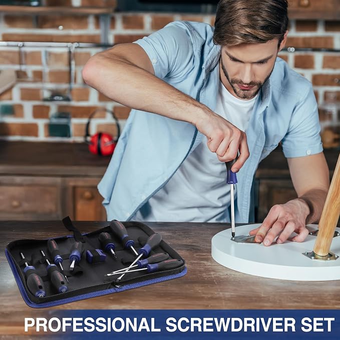 WORKPRO 10-Piece Magnetic Screwdriver Set with Pouch | Phillips, Slotted, Flat Head Screwdriver Include Magnetizer, Screwdriver with Non-Slip Grip, for Home Repair and DIY Projects