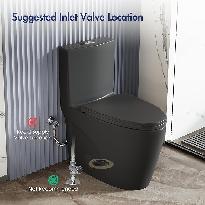 Eridanus Elongated One Piece Toilet with Powerful Siphon Dual Flush 1.1/1.6 GPF, 12" Rough-In Modern Bathroom Toilets with Comfort Soft Closing Seat Height 17", ADA Compliant Bowl, Matte Black