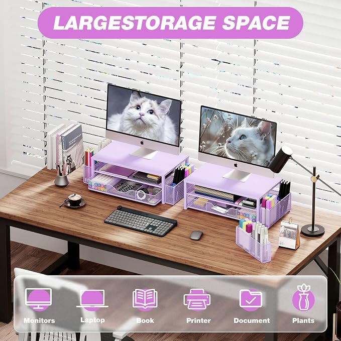OPNICE Desk Organizer and Accessories, 2-Tier Computer Monitor Stand Riser with Drawer and 2 Pen Holders, Laptop Stand, Office Desk Accessories for Office Supplies, 1 Pack, Purple