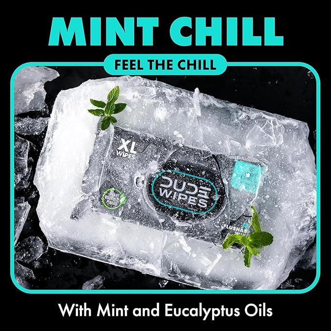 DUDE Wipes Mint Chill Flushable Wipes - Extra-Large Adult Wet Wipes - 6 Pack (288 Count) - Infused with Tea Tree Oil, Vitamin E, and Aloe - Septic and Sewer Safe