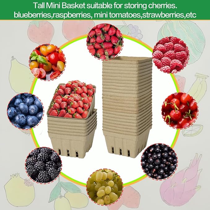 30 Pack Natural Pulp Fiber Berry Baskets, Small Molded Vented Fruit Containers for Strawberry Blueberry Raspberry, Eco-Friendly Produce Trays for Farmers Market, Kitchen Storage & Grocery