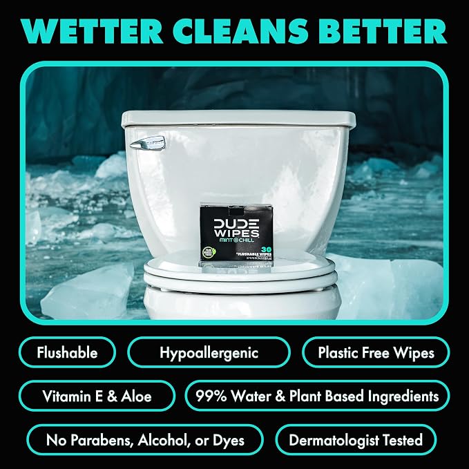 DUDE Wipes On-The-Go Mint Chill Travel Wipes - 2 Pack, 60 Count (Individually Wrapped) - Extra-Large Adult Flushable Wipes - Infused with Tea Tree Oil, Vitamin E, and Aloe - Septic and Sewer Safe