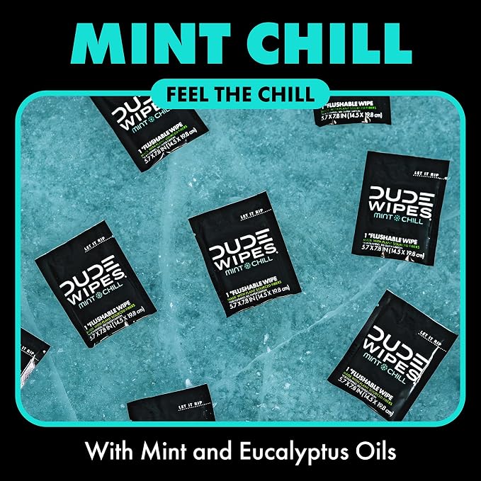 DUDE Wipes On-The-Go Mint Chill Travel Wipes - 2 Pack, 60 Count (Individually Wrapped) - Extra-Large Adult Flushable Wipes - Infused with Tea Tree Oil, Vitamin E, and Aloe - Septic and Sewer Safe