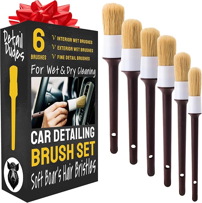 Car Detailing Brush Set 6-Pack, Interior and Exterior, Detail Dudes | Scratch-Free Boars Hair - Exterior & Interior Cleaning Brushes - Safe for Leather, Piano Black Trim, Dashboards & Wheels