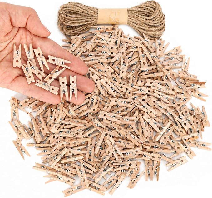 Mr. Pen- Mini Wooden Clothes Pins for Photo, 1 Inch, 300 Pack, Small Clothespins with 10 Meter Jute Twine for Scrapbooking, Labeling Plants, Gift Tags, Tiny Crafts, Photo Display, Decoration