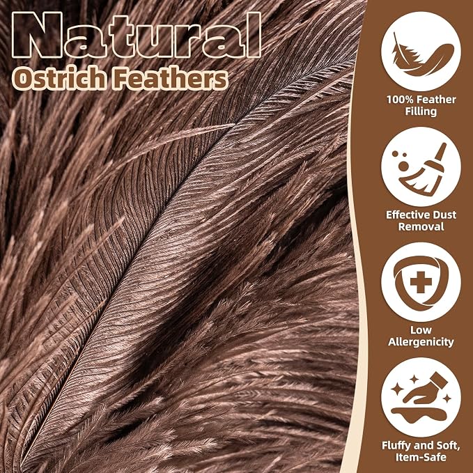 2 Pack Ostrich Feather Dusters for Cleaning with Wooden Handle, 13.5 inch | Natural Fluffy Ostrich Feathers, Washable & Reusable Dusters, Soft Cleaning Tools for Home, Car, Delicate Surfaces