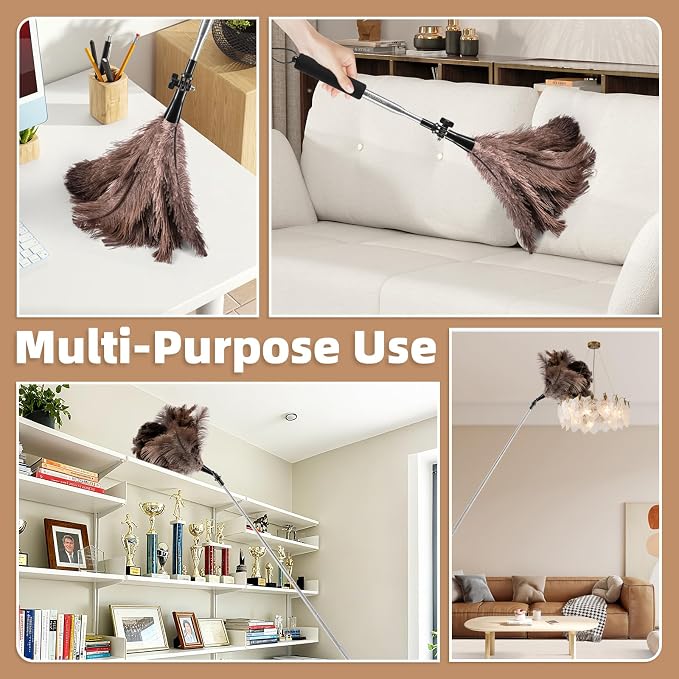 Extendable Ostrich Feather Duster for Cleaning with 49 inch Rotatable Pole | 1 Replacement Head, Natural Fluffy Ostrich Feathers, Reusable Washable Duster, for Ceiling fans, Shelves, Hard to reach Areas