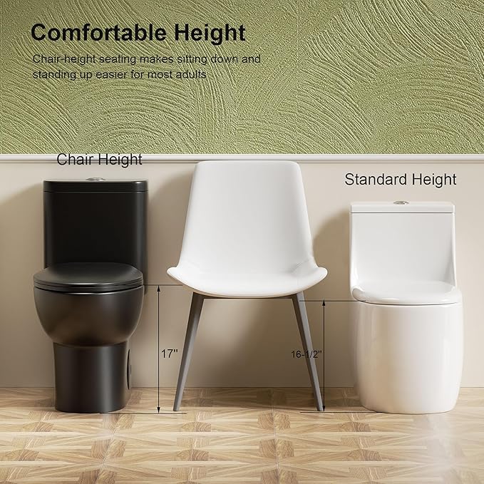 Black One Piece Toilets for Bathrooms, Compact Dual Flush Toilet Elongated with Soft Closing Seat, Modern 12 Inch Rough in Toilet, 1.6 GPF & Map 1000g, Comfort Height, Silent Design (Black)