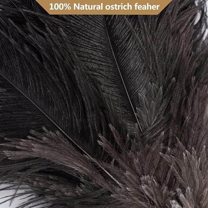 Aldwin Ostrich Feather Dusters for Cleaning, 16 inch Black | Genuine Ostrich Feathers with Wood Handle, Reusable Car Dusters, Eco-Friendly Handheld Dusters for Home, Office and Kitchen