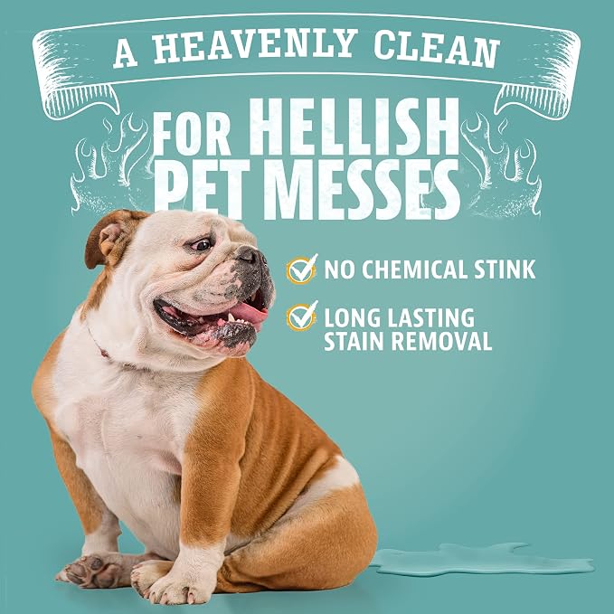 ANGRY ORANGE Pet Stain & Odor Remover for Dog Urine and Stains - Enzyme Pet Odor Eliminator for Home - Citrus - Value 2 pack