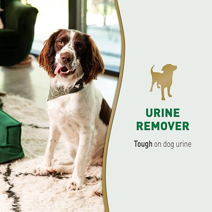Nature's Miracle Dog Urine Remover, Enzymatic Cleaner, 1 gal | Removes Dog Urine & Yellow Sticky Residue, For Use on Multiple Surfaces, Safe For Pets and Home*, Freshens With Light Scent