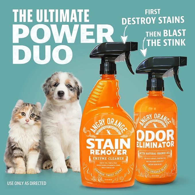 ANGRY ORANGE Pet Stain & Odor Remover for Dog Urine and Stains - Enzyme Pet Odor Eliminator for Home - Citrus - Value 2 pack