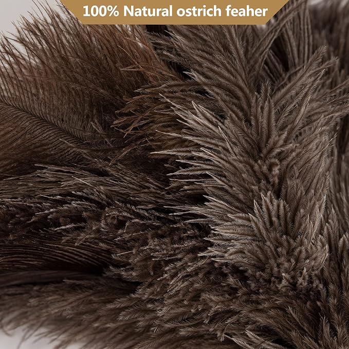 Aldwin 16" Gray Ostrich Feather Duster for Cleaning with Wooden Handle | Genuine Natural Fluffy Ostrich Feather Handheld Duster, Reusable and Washable, Cleaning Supplies for Home, Car, Office, Desk