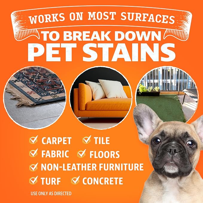 ANGRY ORANGE Stain & Odor Remover - 32oz Pet Urine Enzyme Cleaner - Enzymatic Dog & Cat Pee Destroyer and Odor Eliminator - NEW Orange Rush Scent Cleaning Solution for Home
