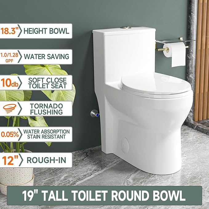 Compact Modern Tall Toilet 19 Inch for Seniors, Powerful Tornado Flush Skirted High Toilet for Small Bathroom, One Piece Toliet Dual Flush 1.0/1.28 GPF, Comfort ADA Bowl Heigh 18.3 Inch, White
