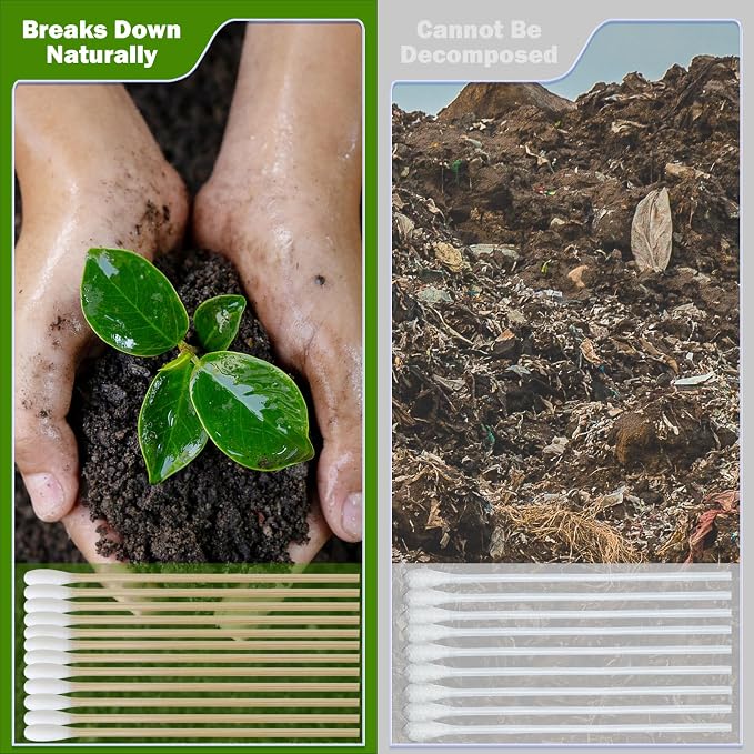 6 Inch Long Cotton Swabs, Pointed or Round Tips for Cleaning | Pointed, Round, and Mixed-Tip Cotton Swab Options with 6 Inch Wooden Handles for Firearm, Electronics, Craft, and Tasks