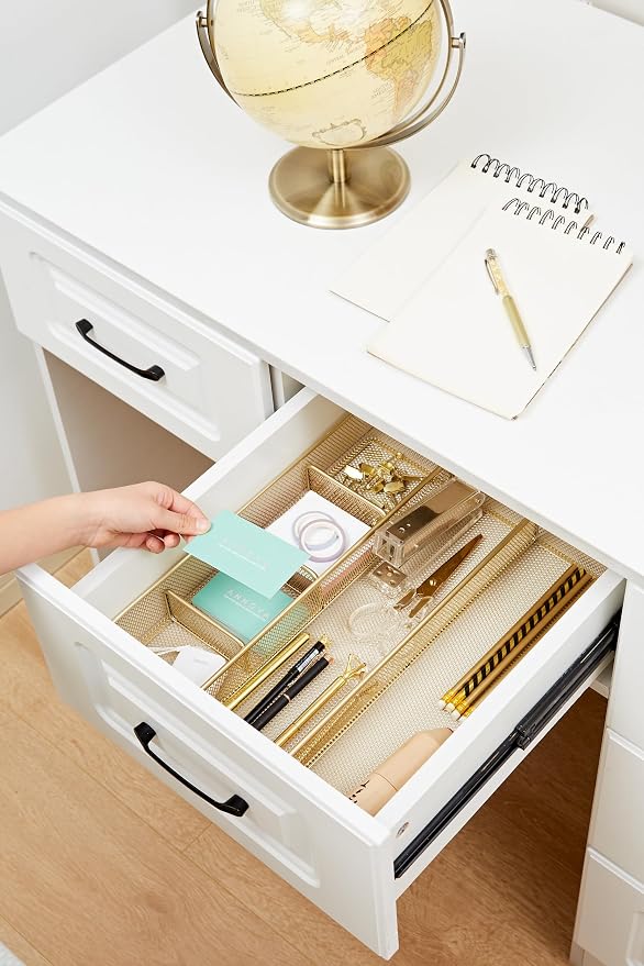 Annova Desk Top Organizer Tray for Office Organization - Metal Mesh - Storage Tray with Dividers for Pens, Desktop Accessories, Bathroom, Kitchen, Makeup and Office Supplies (Large, Gold)