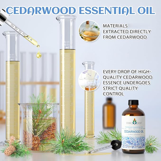 EVOKE OCCU Cedarwood Essential Oil for Diffuser, Aromatherapy & Skin Care | Nourishes Hair, Adds to Conditioner, Spray, DIY Blends, Skin Care, Home Atmosphere, Outdoor Protection - 118mL / 4 fl.oz
