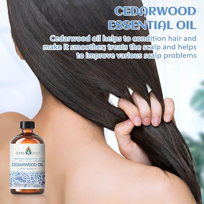 EVOKE OCCU Cedarwood Essential Oil for Diffuser, Aromatherapy & Skin Care | Nourishes Hair, Adds to Conditioner, Spray, DIY Blends, Skin Care, Home Atmosphere, Outdoor Protection - 118mL / 4 fl.oz