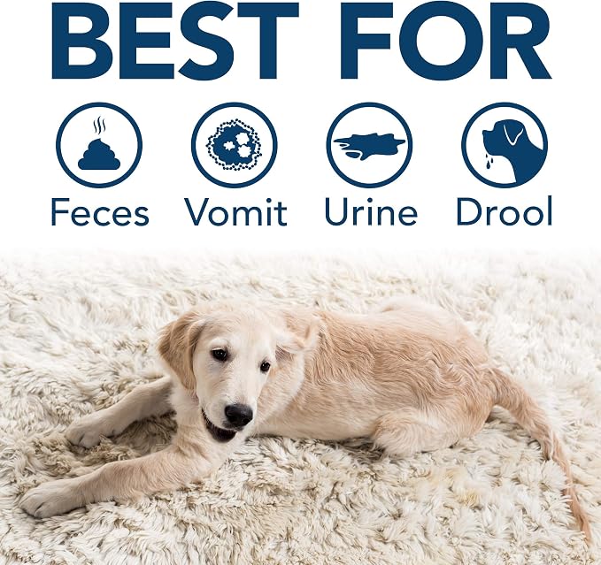 Simple Solution Pet Stain & Odor Remover, Enzyme Stain Cleaner, 32oz | Dog Stain & Odor Remover, Pet Urine Enzyme Cleaner, Dog Urine Carpet Cleaner, Pet Odor Eliminator, Floral Fresh Scent
